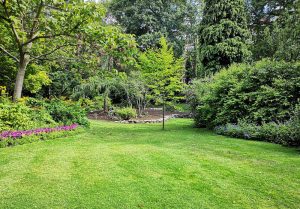 Optimiser l'expérience du jardin à Mont-sur-Meurthe